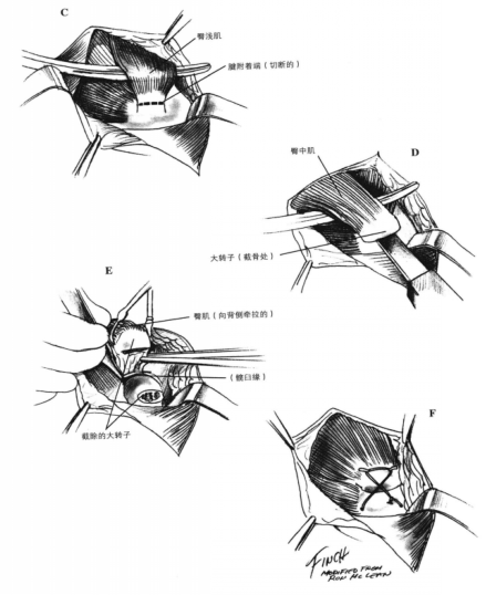 蜜桃成品人视频入口