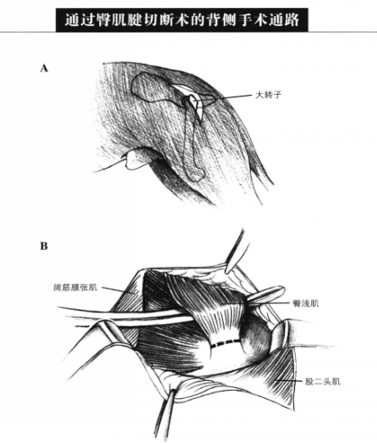 蜜桃成品人视频入口
