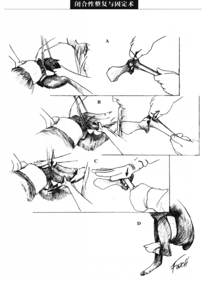 蜜桃成品人视频入口