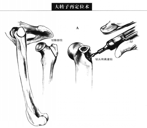 蜜桃成品人视频入口