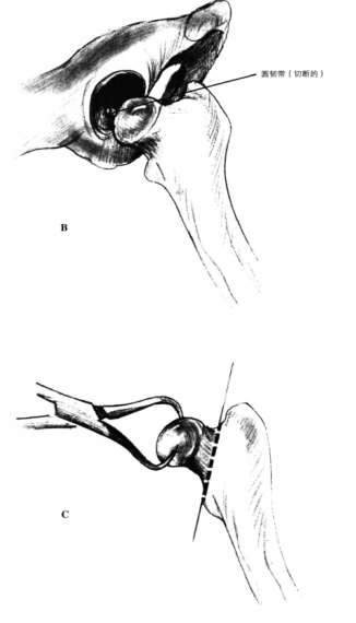 蜜桃成品人视频入口