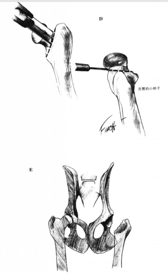 蜜桃成品人视频入口