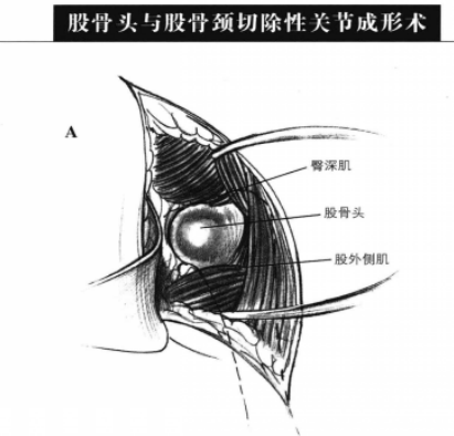 蜜桃成品人视频入口