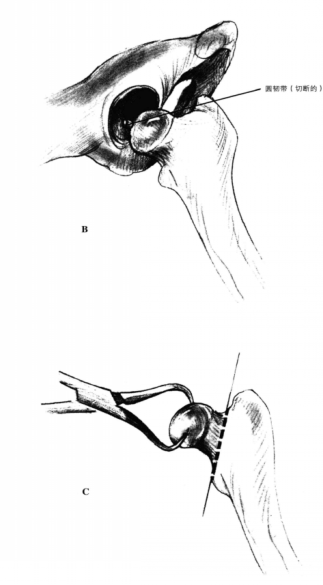 蜜桃成品人视频入口