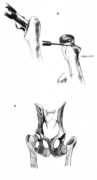 蜜桃成品人视频入口