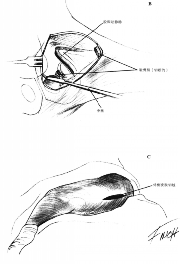 蜜桃成品人视频入口