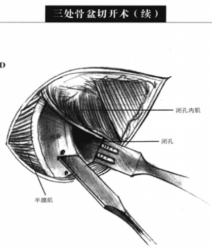 蜜桃成品人视频入口