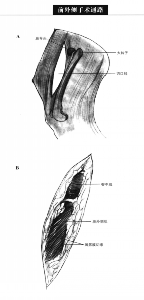蜜桃成品人视频入口