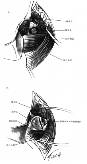 蜜桃成品人视频入口