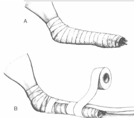 蜜桃成品人视频入口