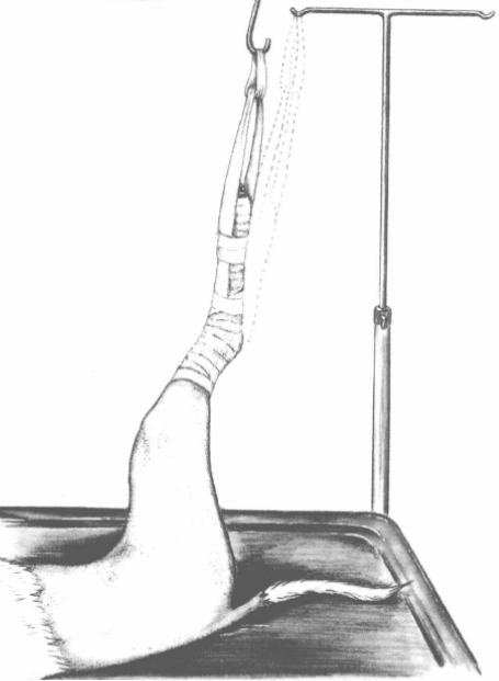 蜜桃成品人视频入口