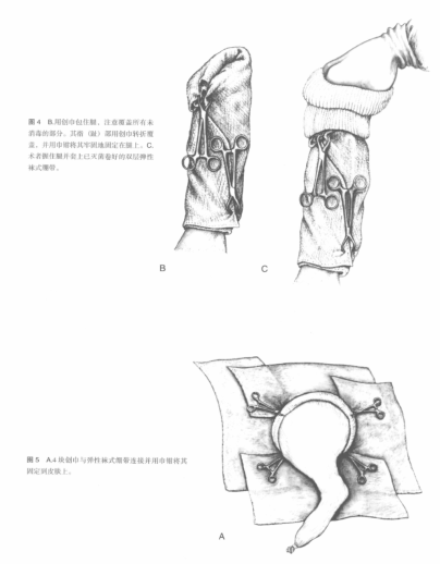 蜜桃成品人视频入口