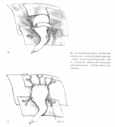 蜜桃成品人视频入口