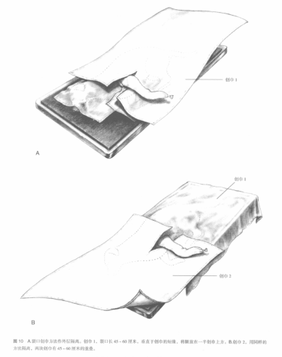 蜜桃成品人视频入口