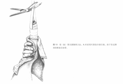 蜜桃成品人视频入口