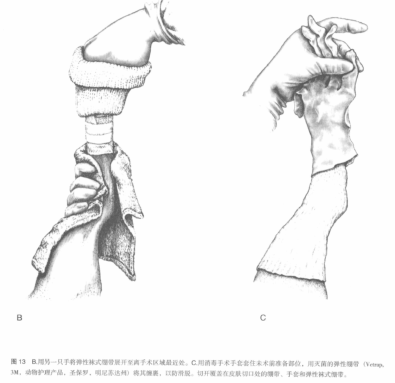 蜜桃成品人视频入口
