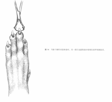 蜜桃成品人视频入口