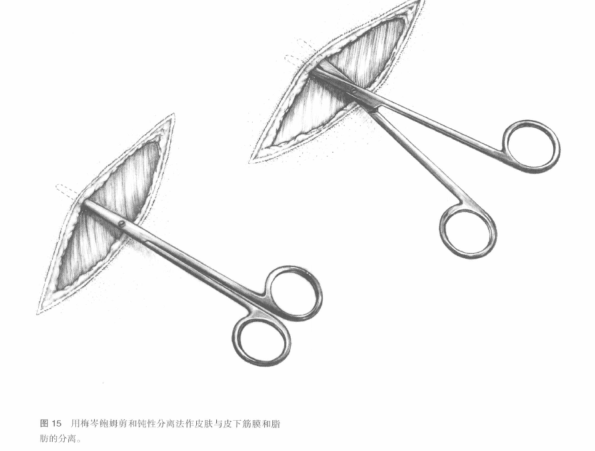 蜜桃成品人视频入口