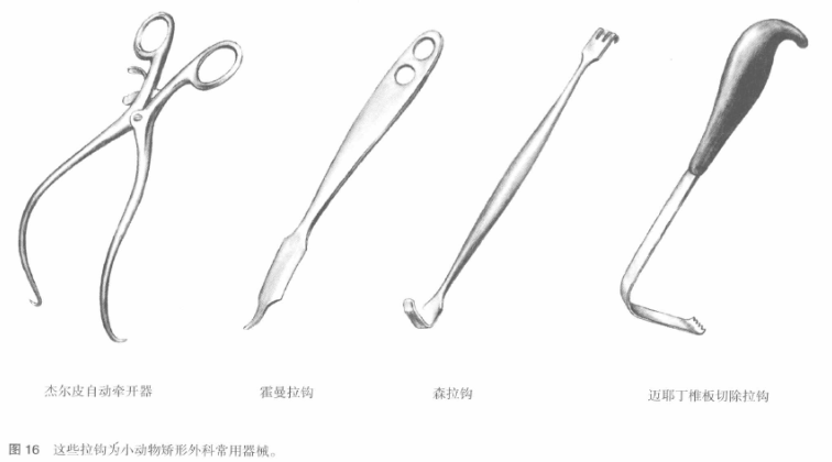 蜜桃成品人视频入口