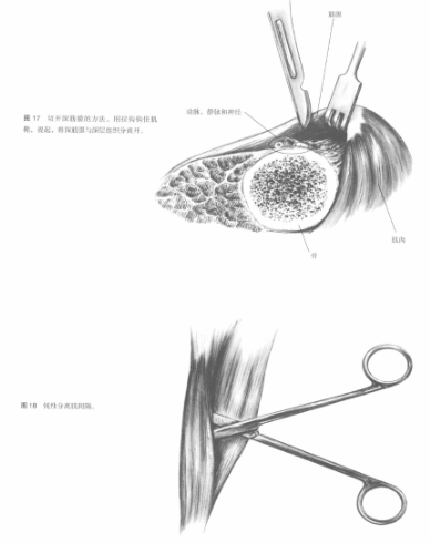 蜜桃成品人视频入口