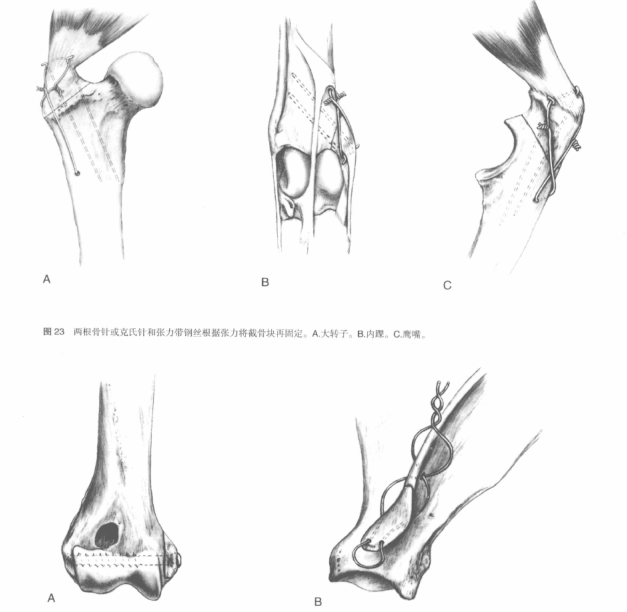 蜜桃成品人视频入口