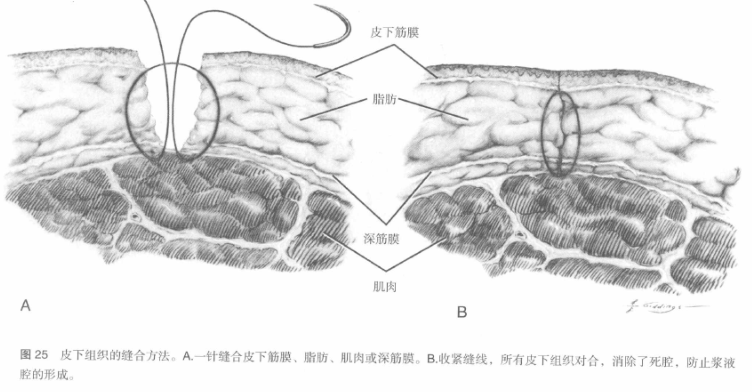 蜜桃成品人视频入口