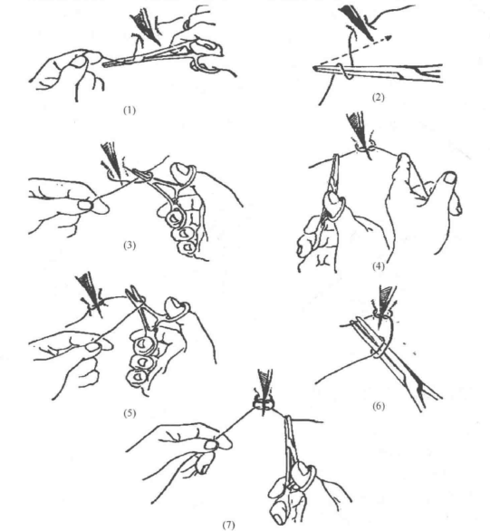蜜桃成品人视频入口