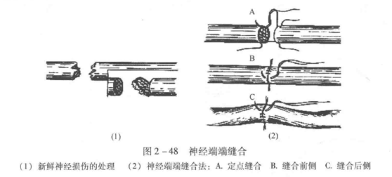 蜜桃成品人视频入口