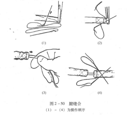 蜜桃成品人视频入口