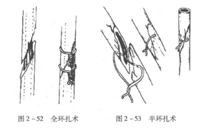 蜜桃成品人视频入口