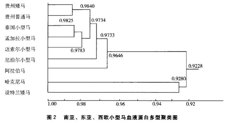 蜜桃成品人视频入口