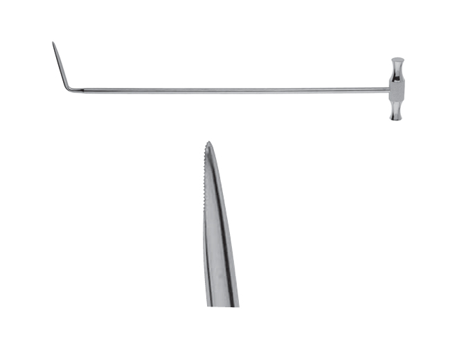 蜜桃成品人视频入口