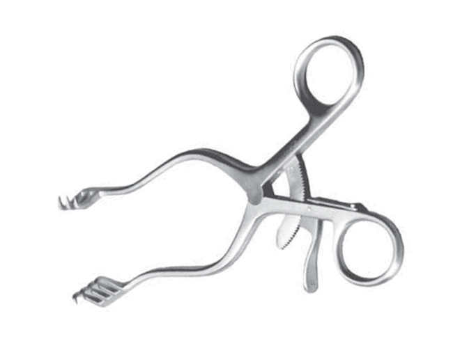 蜜桃成品人视频入口