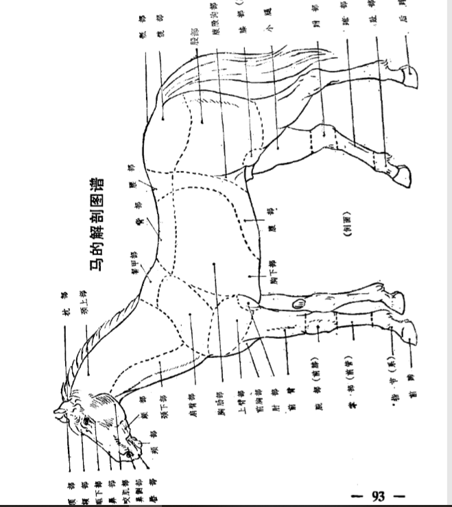 蜜桃成品人视频入口