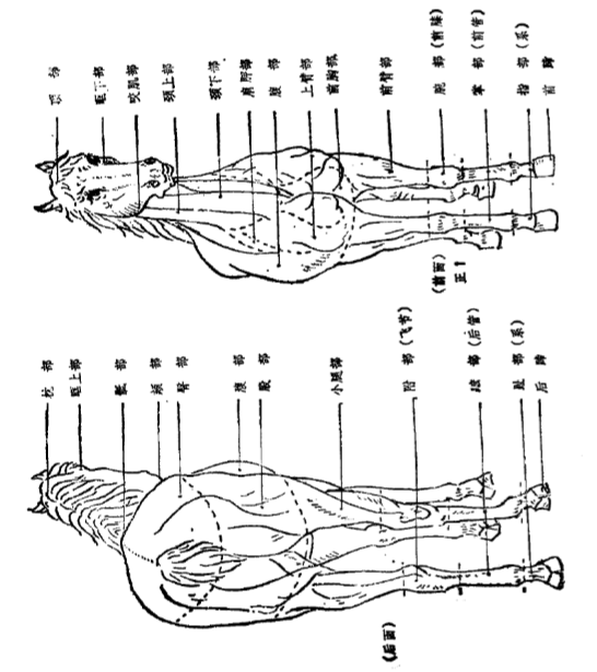 蜜桃成品人视频入口