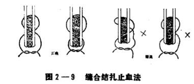 蜜桃成品人视频入口