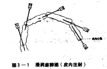 蜜桃成品人视频入口