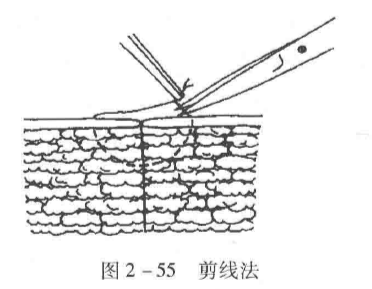 蜜桃成品人视频入口