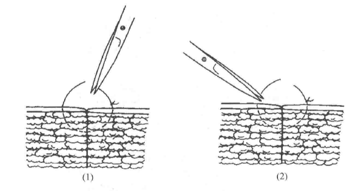 蜜桃成品人视频入口