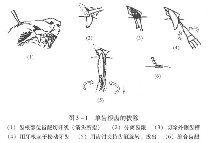 蜜桃成品人视频入口