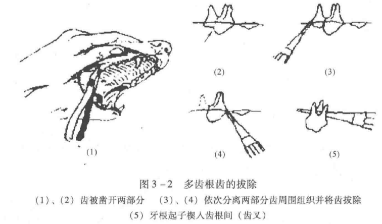 蜜桃成品人视频入口