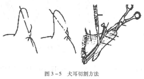 蜜桃成品人视频入口