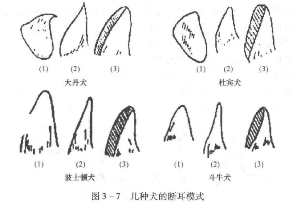 蜜桃成品人视频入口