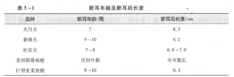 蜜桃成品人视频入口