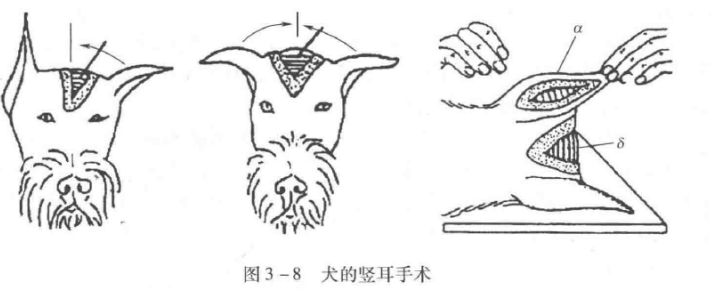 蜜桃成品人视频入口