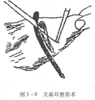 蜜桃成品人视频入口