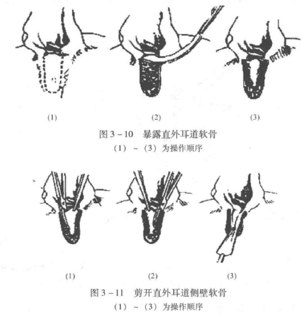 蜜桃成品人视频入口