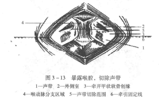 蜜桃成品人视频入口