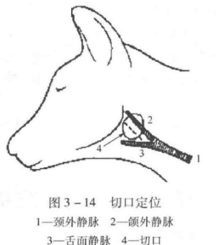蜜桃成品人视频入口
