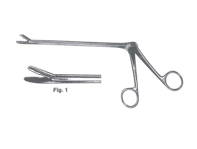 蜜桃成品人视频入口